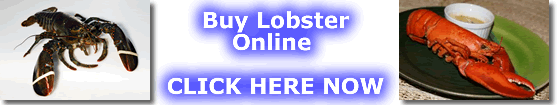 buy lobster online banner